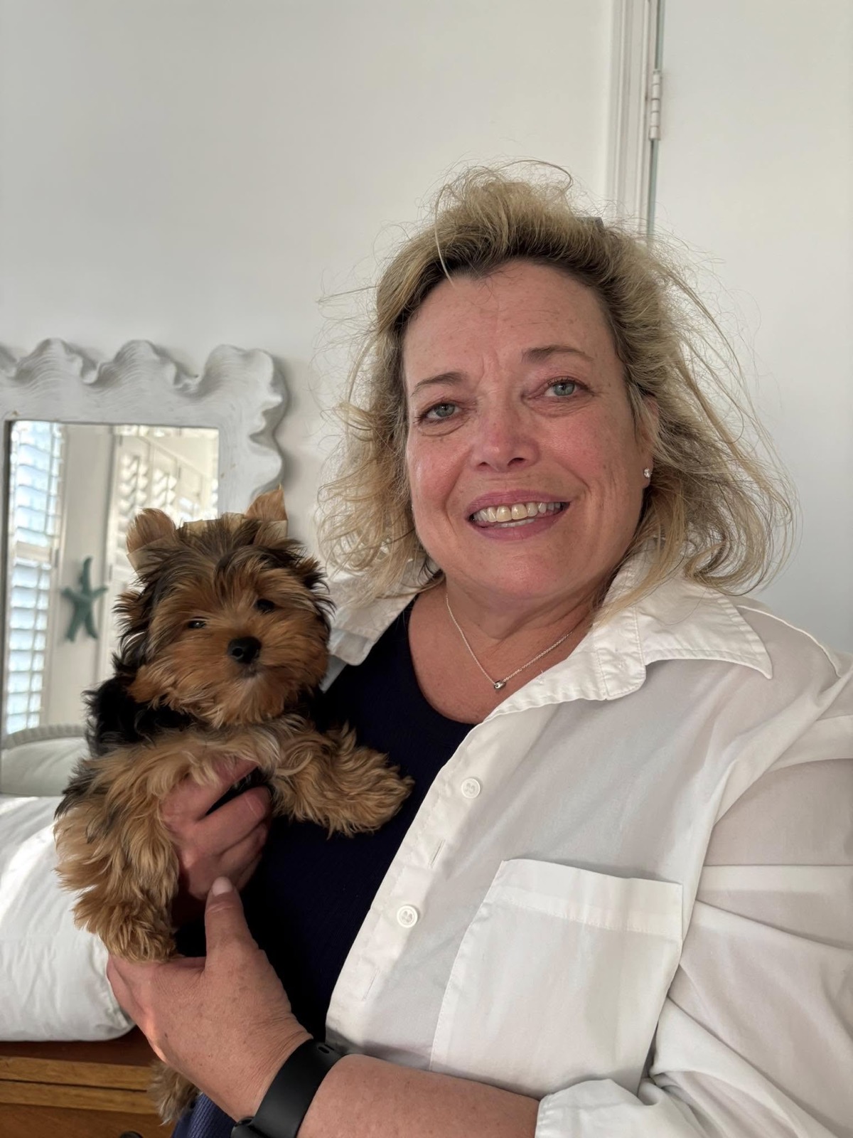 Teddy —  Yorkie