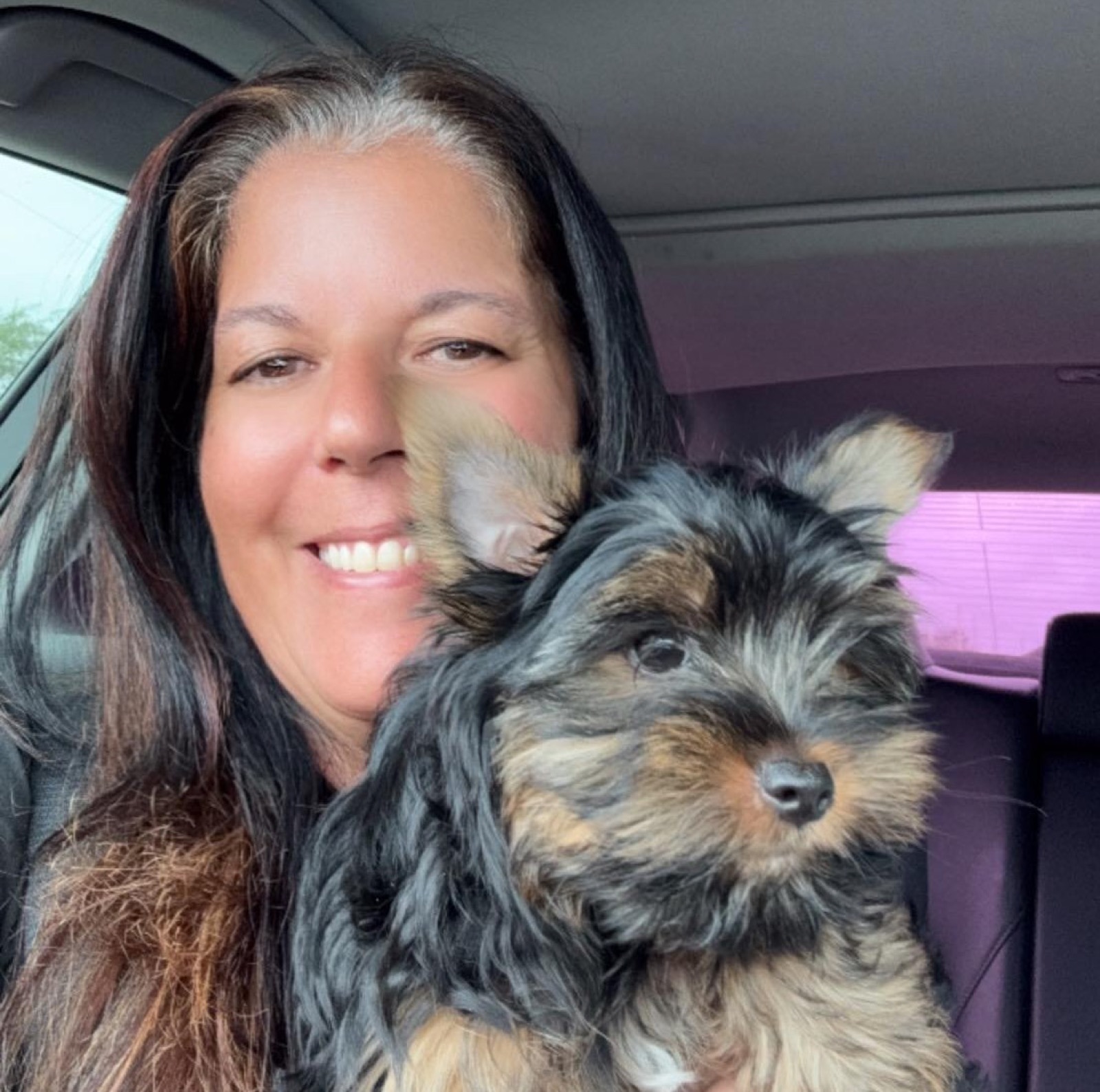Lucky —  Yorkie