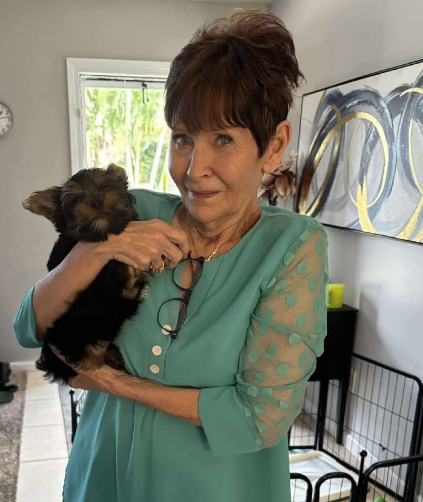 Phoenix —  Yorkie
