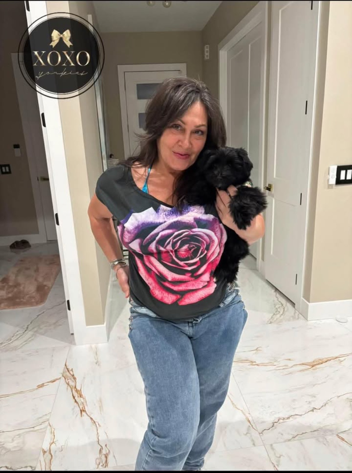 KB Black Yorkie — Kb Black Yorkie