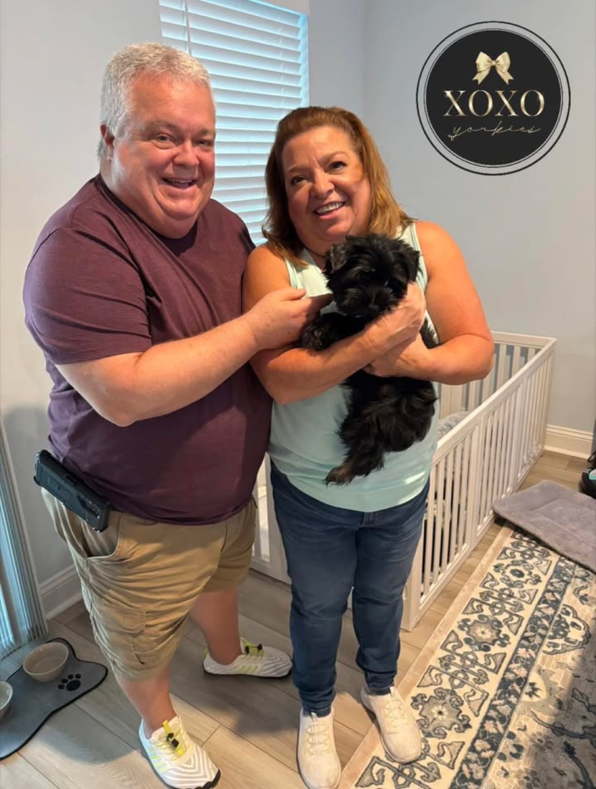 Dior — KB Black Yorkie